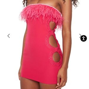 Danielle Guizio Feather Trim Embellished Dress